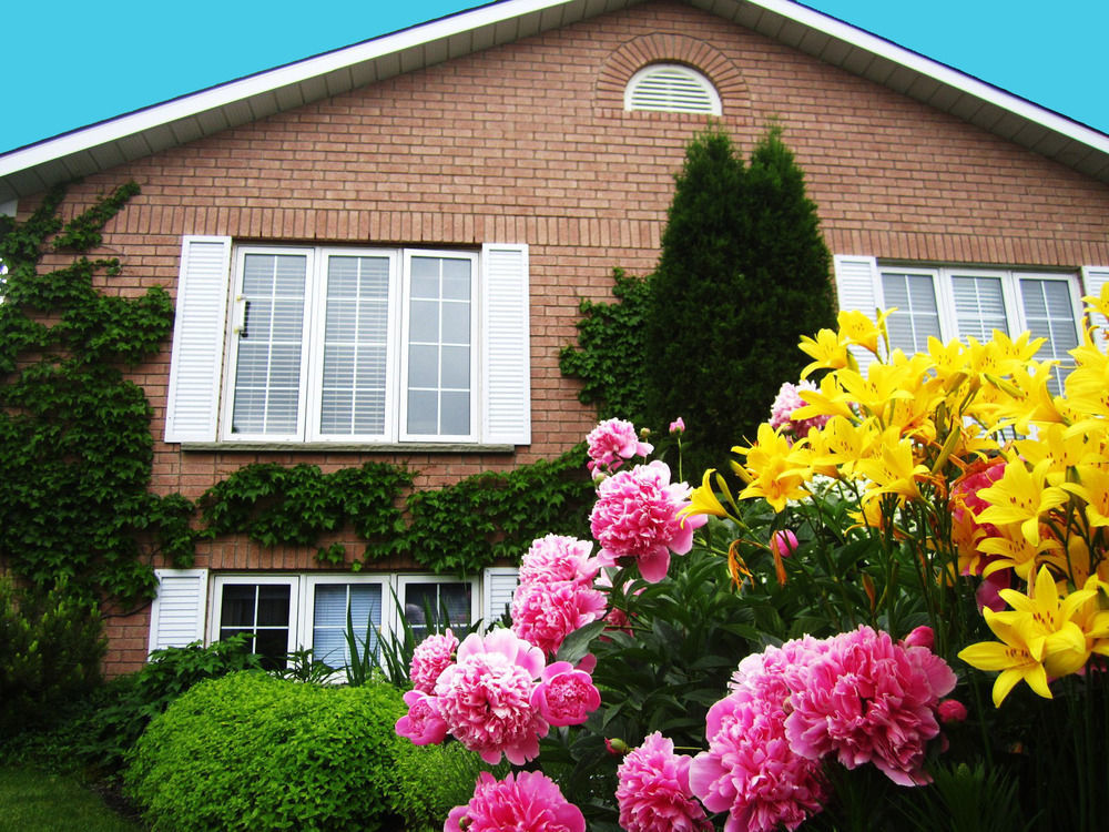 Opus 74 Bed & Breakfast Стратфорд Экстерьер фото